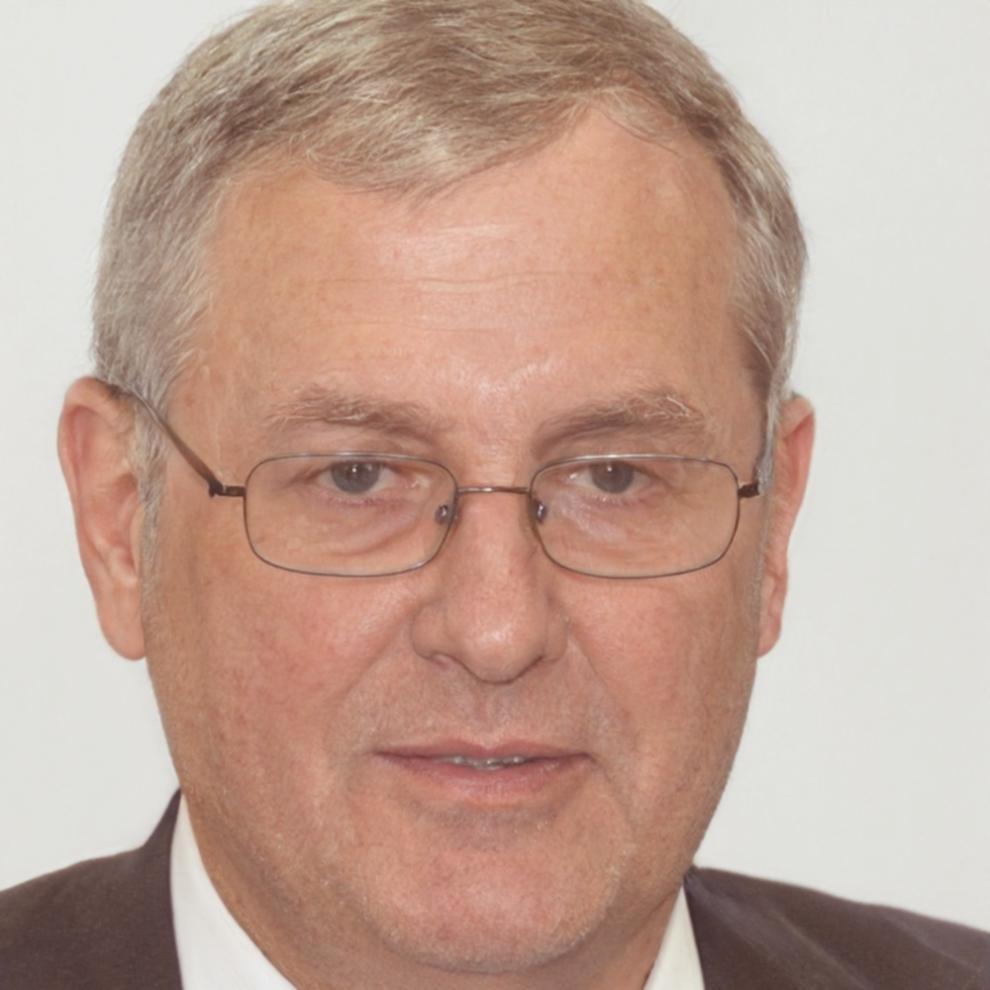 Henrik Bergström, Softwareentwickler und Dozent